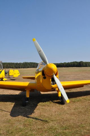 2016_Flugtag_Wilsche (32)